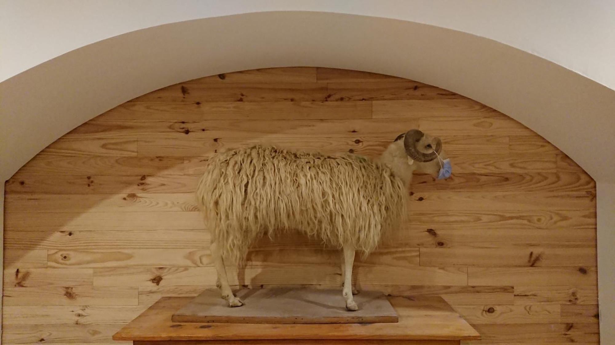Superbe Logement 12 Pers Famille Ou Groupe. Laruns Kültér fotó
